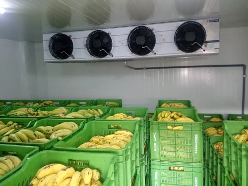nandikoti_Banana Ripening Chamber